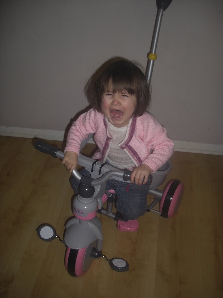 NOT THE REACTION WE WERE EXPECTING // tippitoes kids’ trike