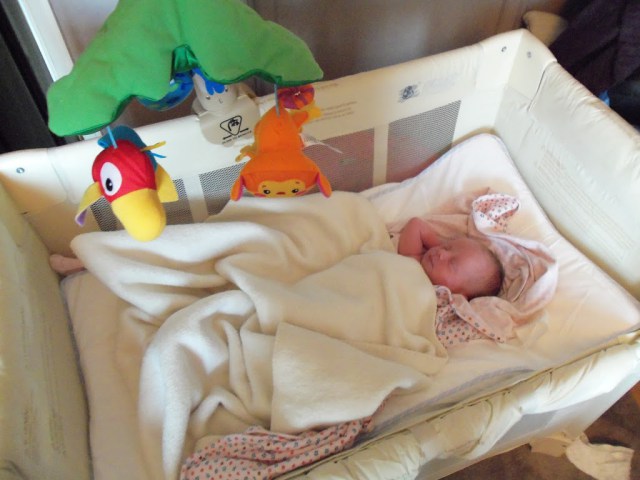 co-sleeper cot