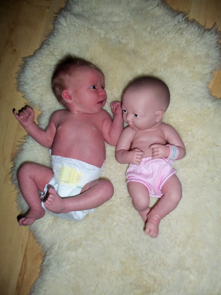 Eh??? Which is Which???