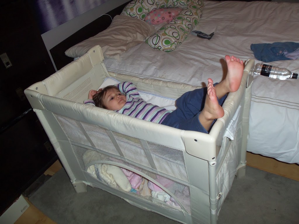 TODDLER LONG-LEGS