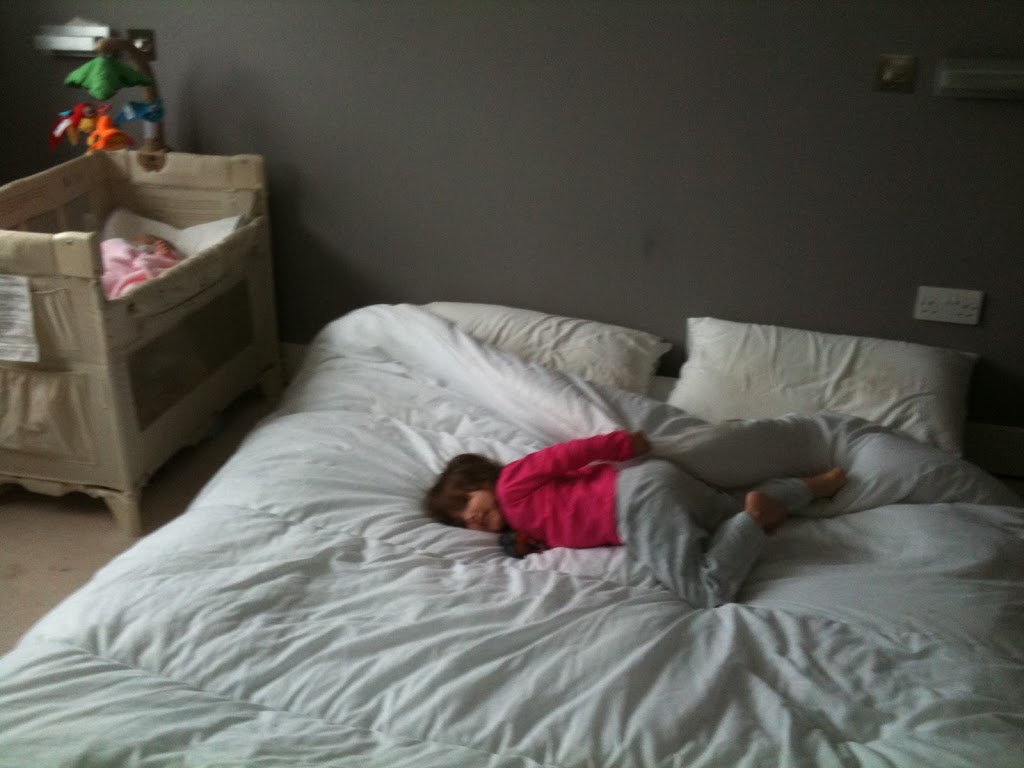 Why Kids, Renovations and Christmas Don’t Mix…