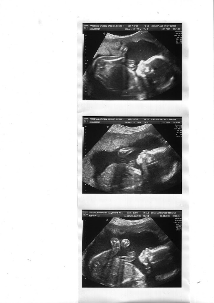 2010 – MY LIFE IN PICTURES
