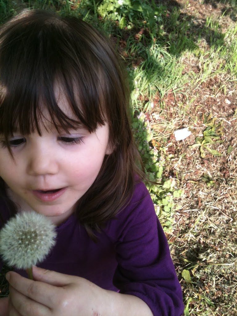 simple family pleasures