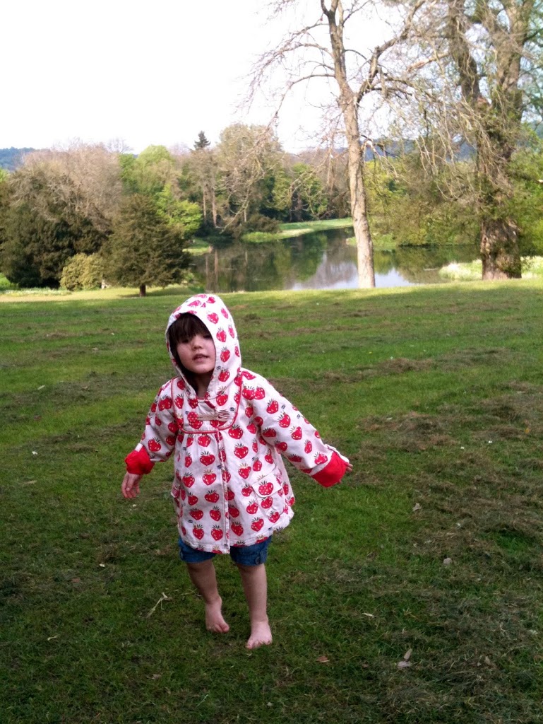 Strawberry jacket