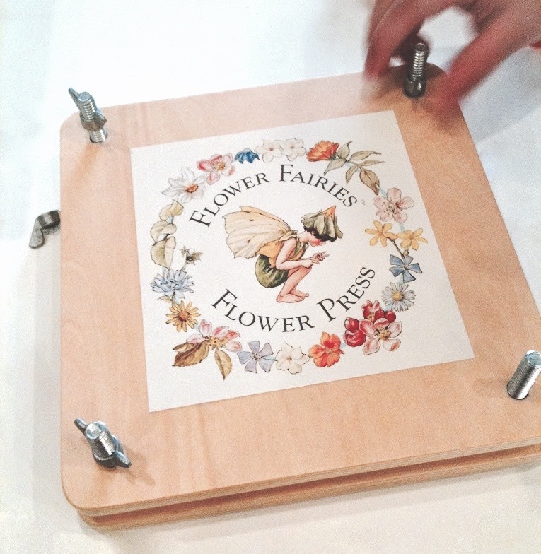 Flower pressing - crafts with Big Sis