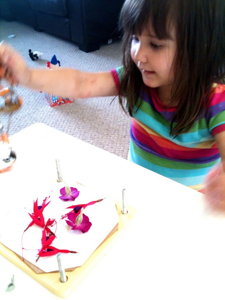 flower pressing 2
