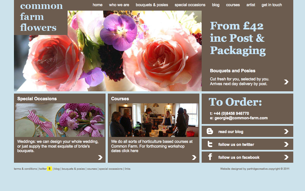 BLOG CRUSH