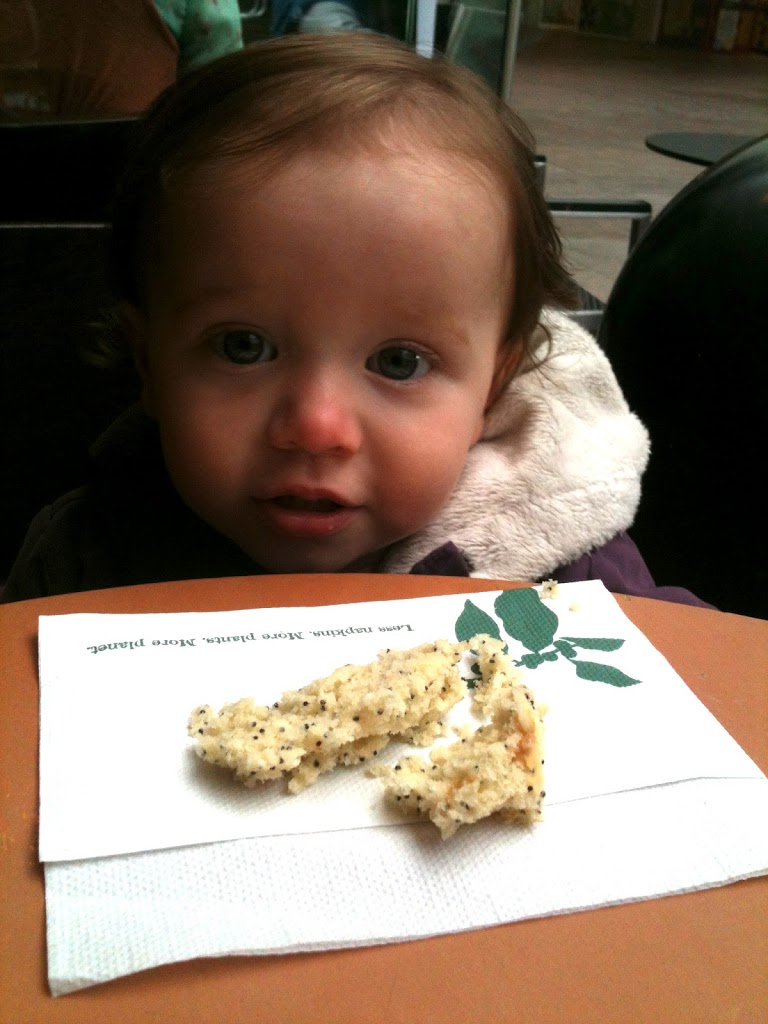 HOW TO EAT A MUFFIN WHEN YOU’RE ONE (and a half)