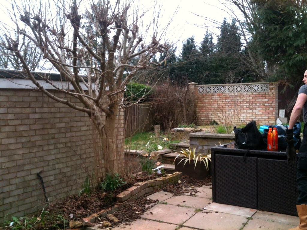 D’YA WANNA SEE MY GARDEN??