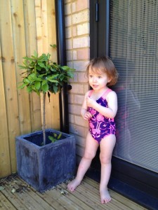 Speedo Sea Sparkle toddlers' swimsuit