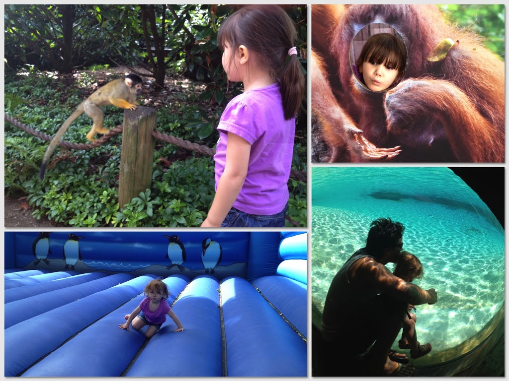 A FRENZY OF FAMILY FUN