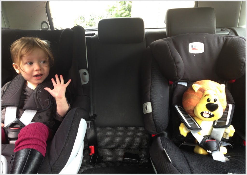 ROARING AND RAA-ING TO GO!