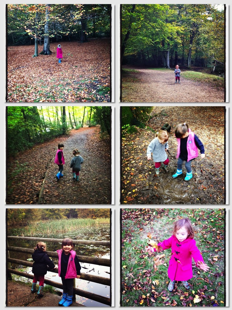 THE GALLERY (autumn)