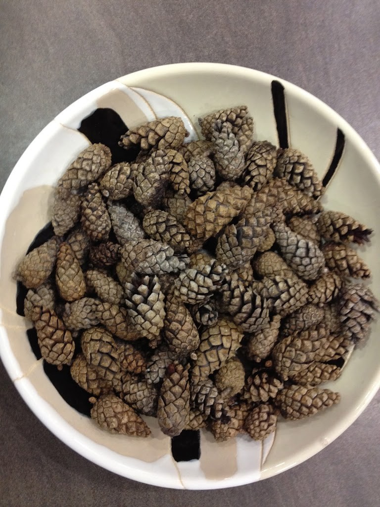 Kids' Christmas crafts collecting pine cones bowl 1
