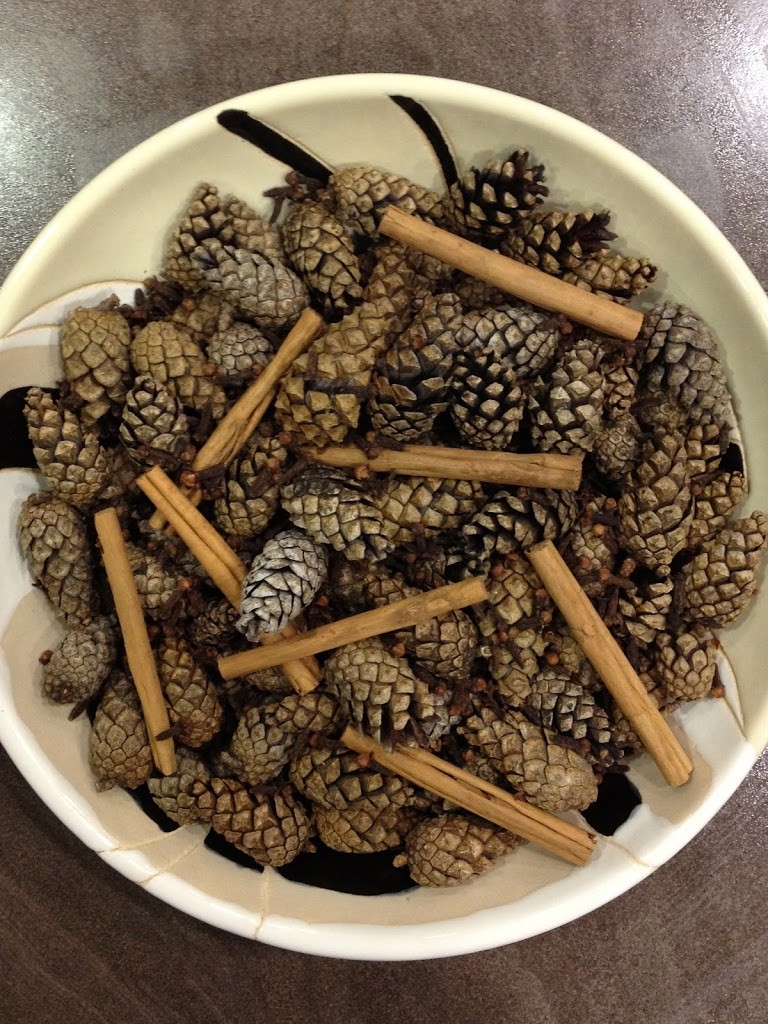 Kids' Christmas crafts collecting pine cones bowl 2