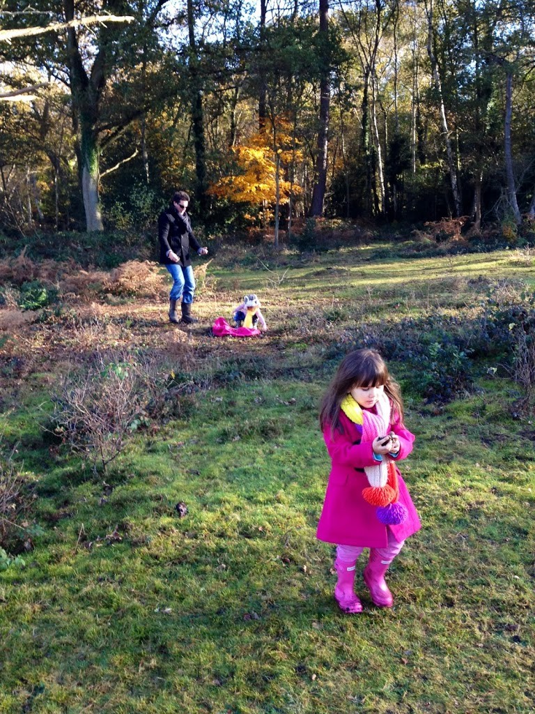 Kids' Christmas crafts collecting pine cones