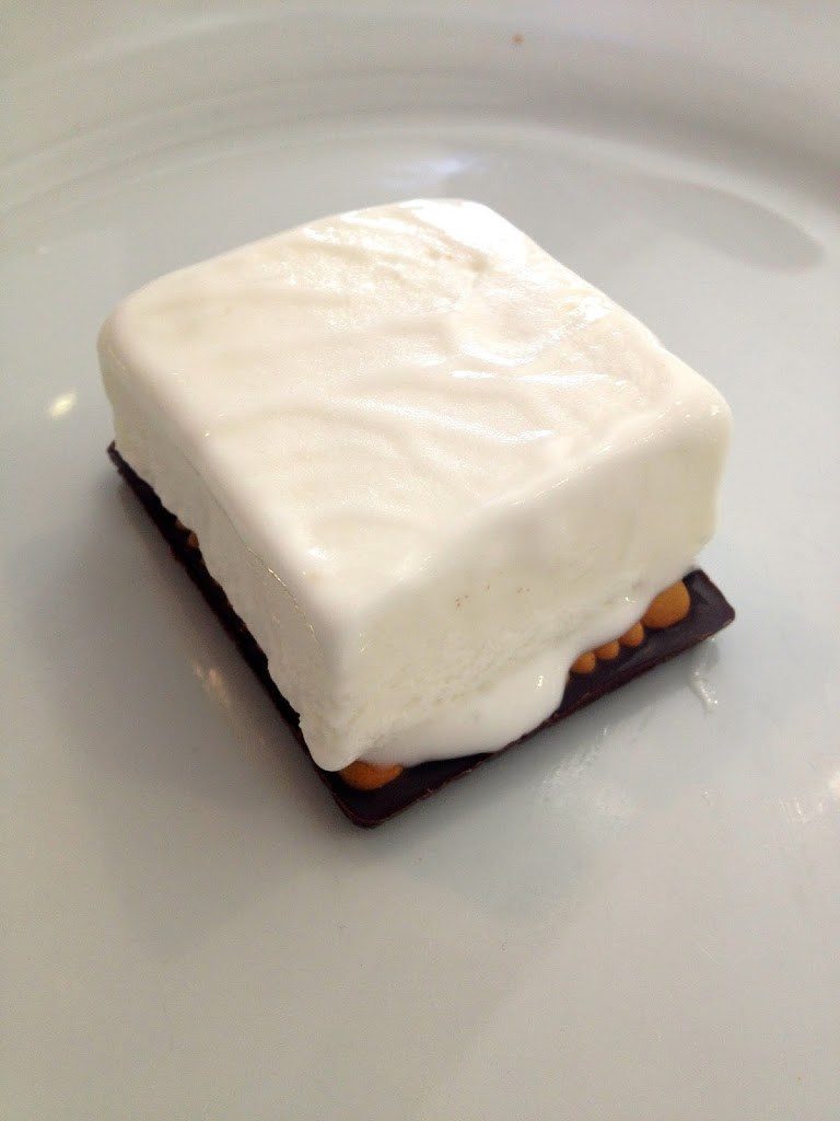 easy ice cream sandwich topped with ice cream