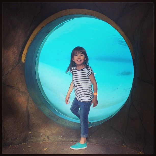 THE PENGUIN PORTHOLE // simple pleasures