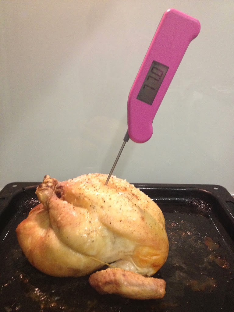 ENSURING THE PERFECT ROAST (thermapen food thermometer)