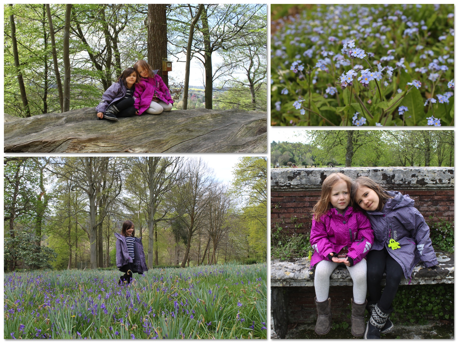 SPRING TIME & SUNSHINE (country kids)
