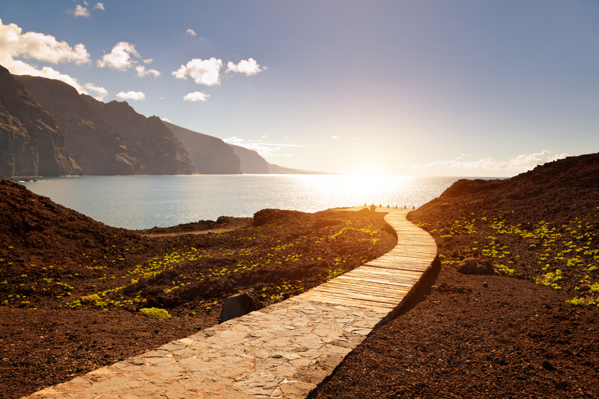 TANTALISING TENERIFE