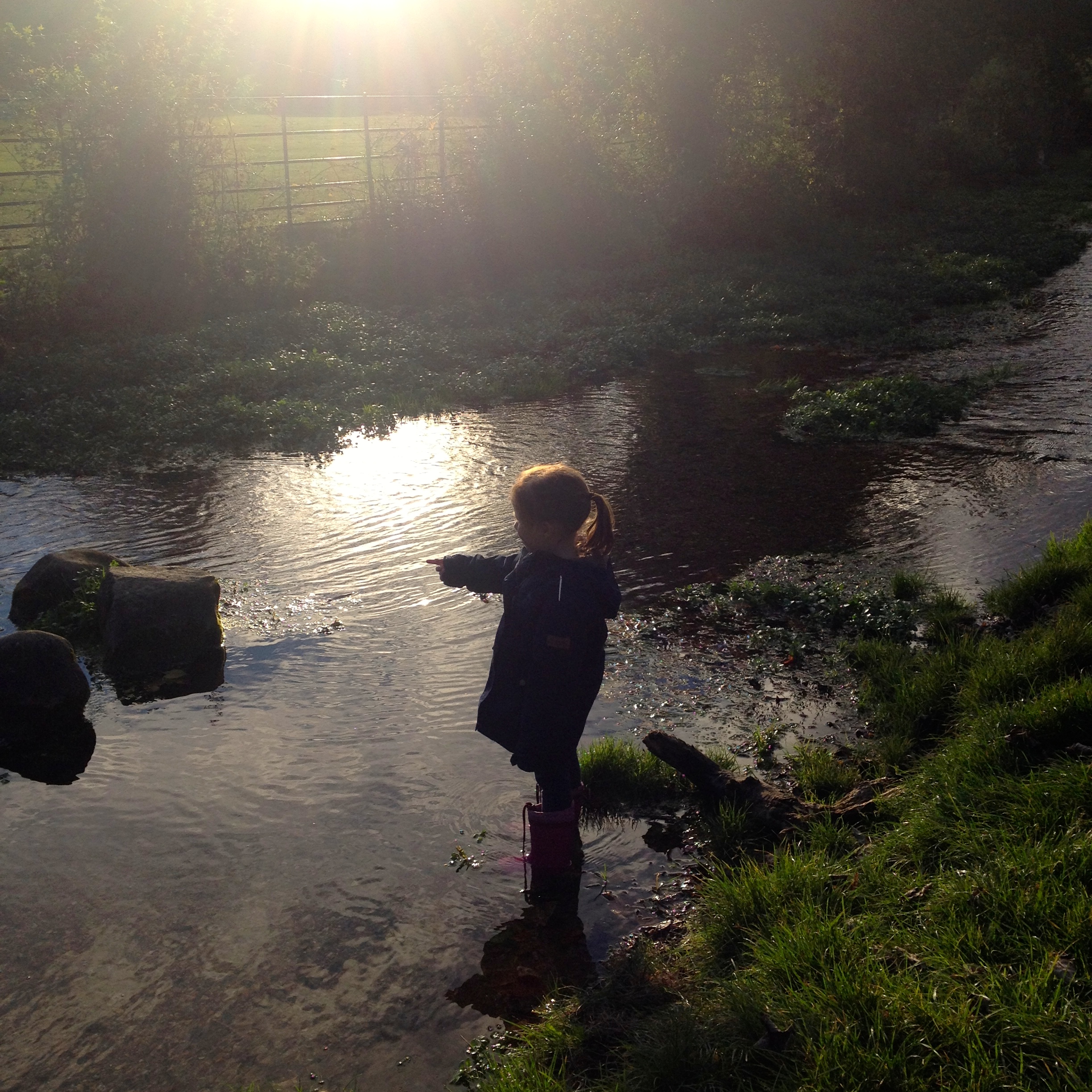 MY SUNDAY PHOTO (sunset streams)