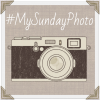 my sunday photo graphic