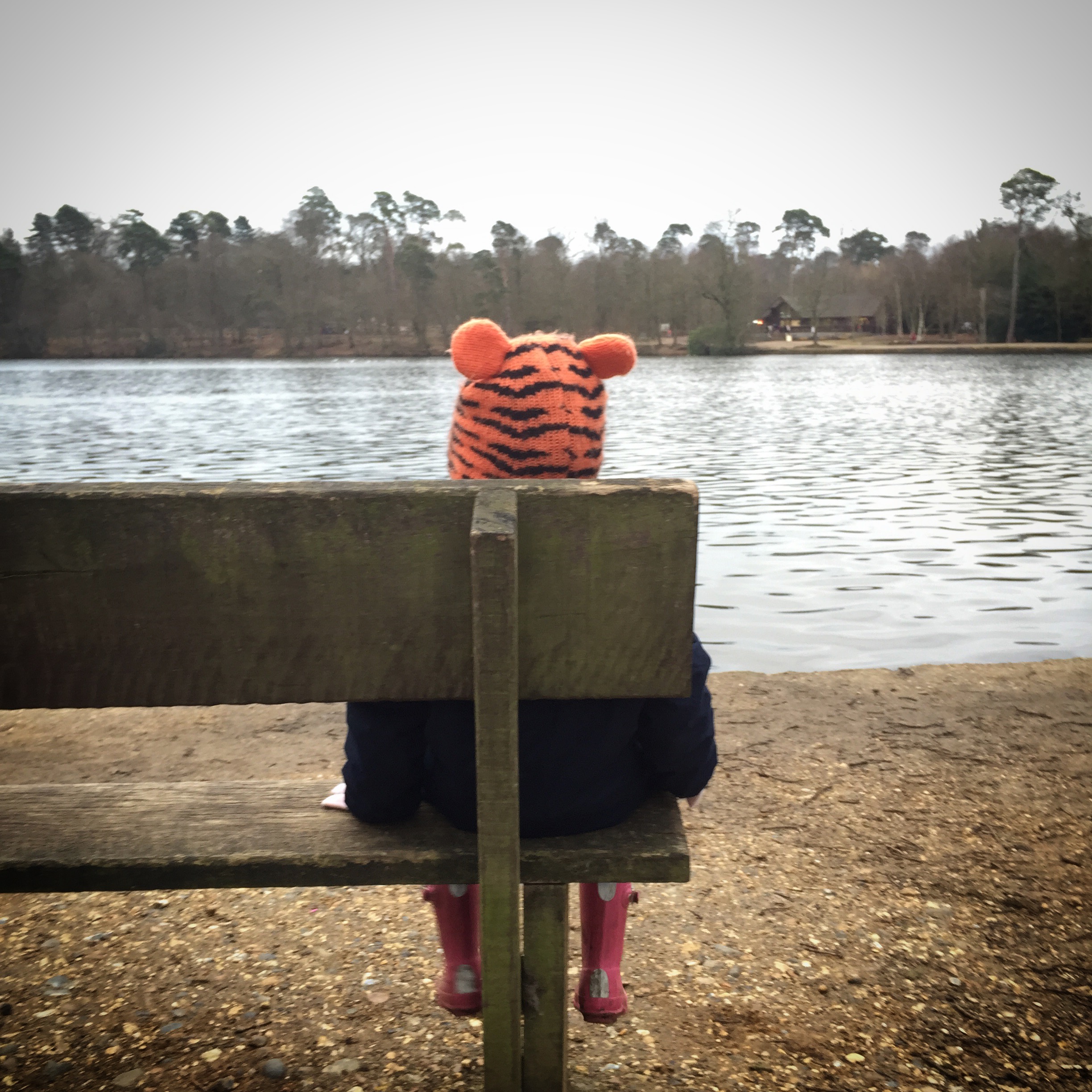 SILENT SUNDAY (8 february)