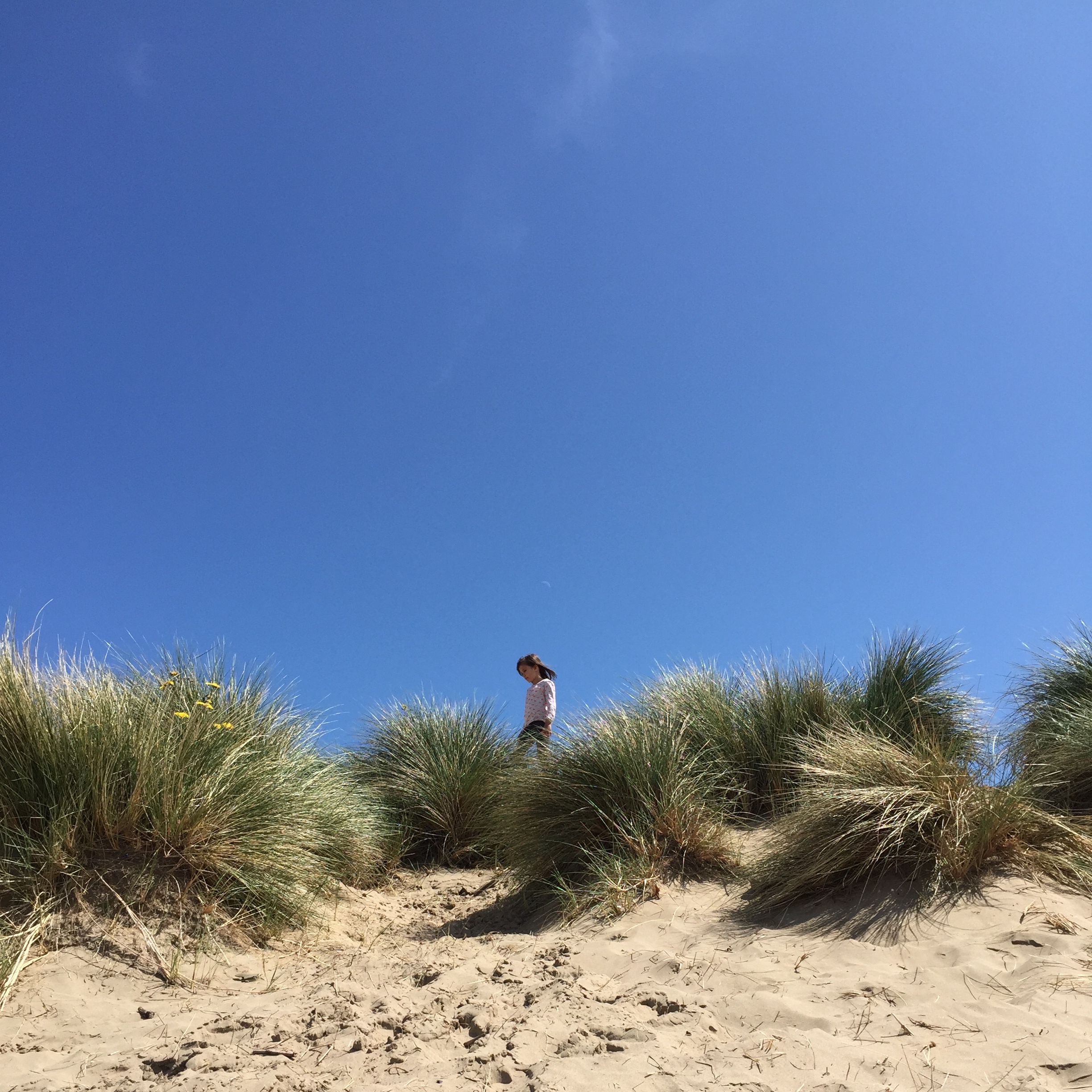 SAND DUNES (north devon)