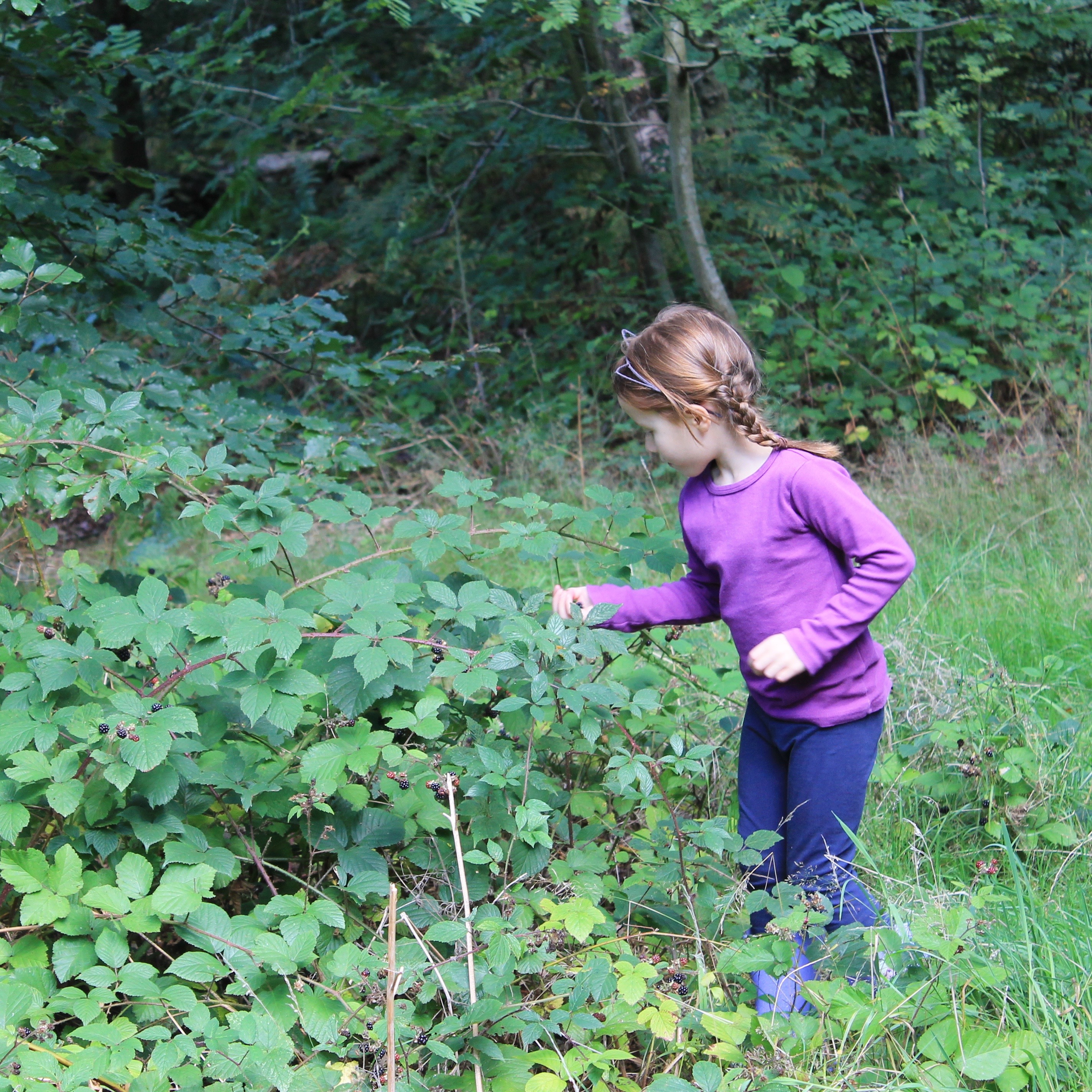 WILD BERRY WANDERINGS // passing down some timeless childhood memories