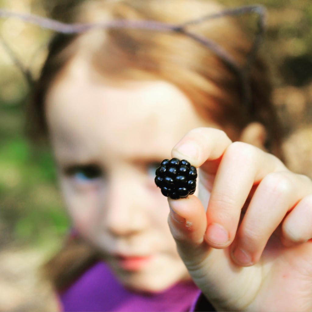 N with blackberry