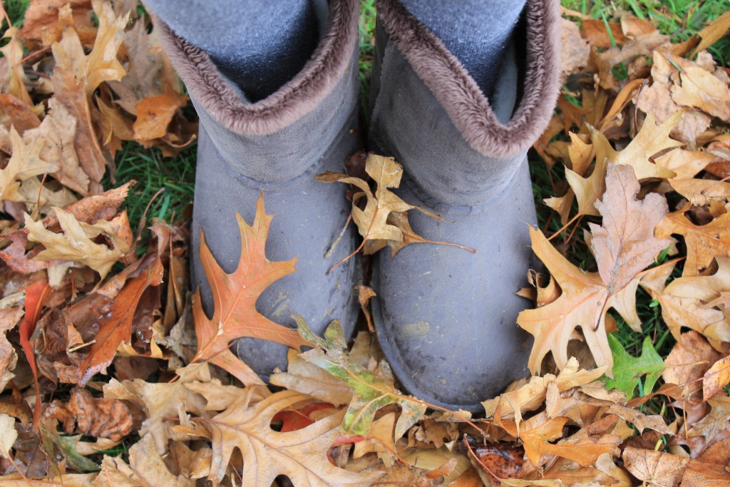 Blackfox Cheyenne boots