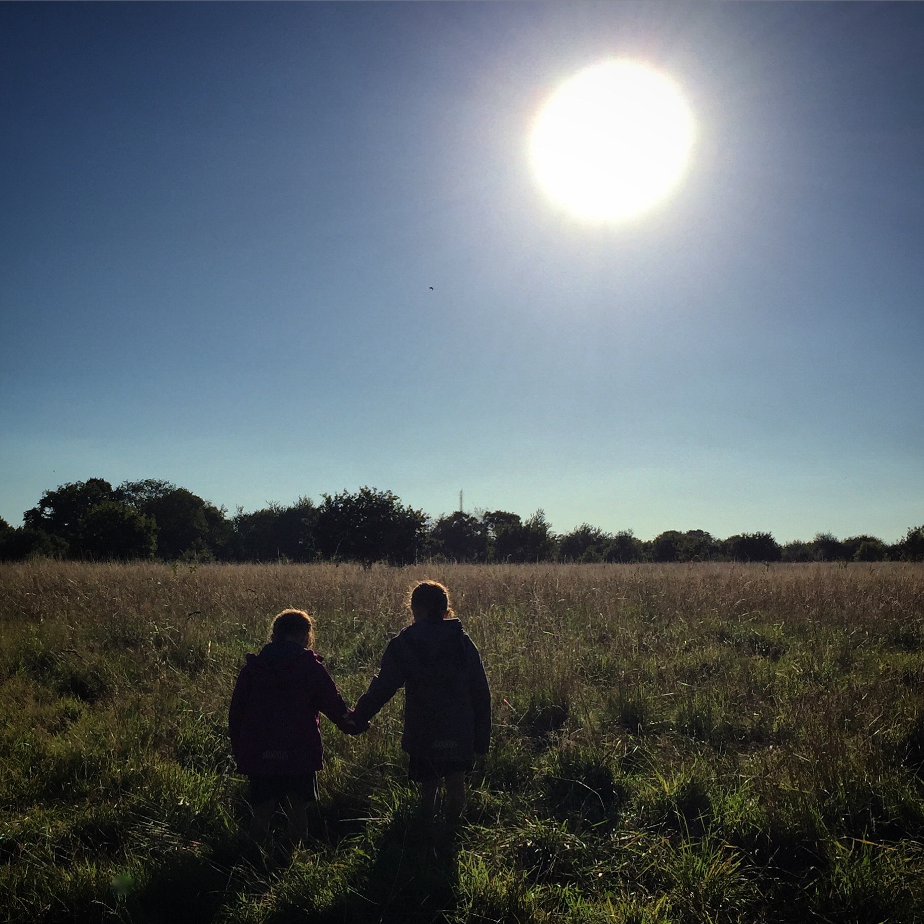 MY SUNDAY PHOTO (autumn glow)