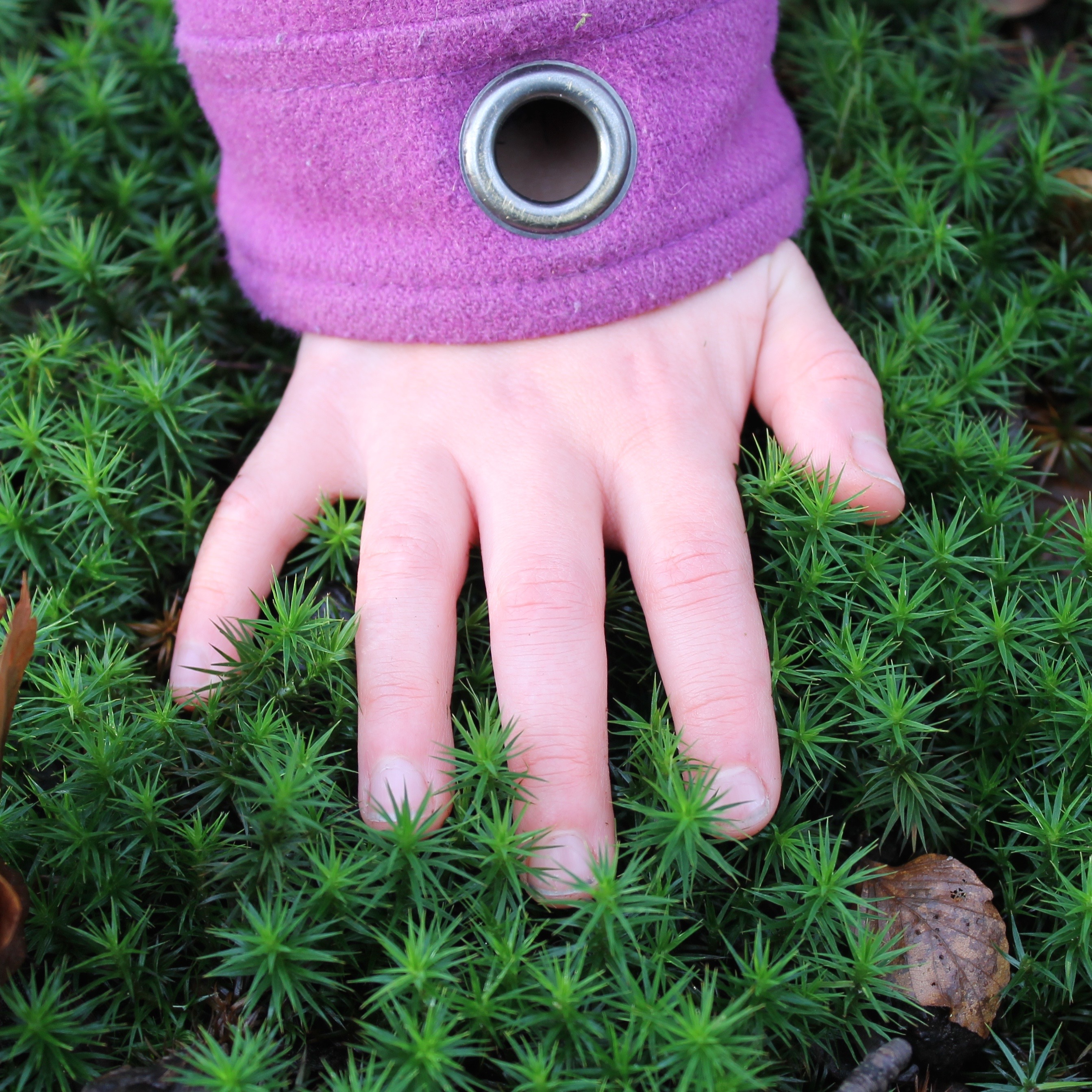 MY SUNDAY PHOTO – fingertips