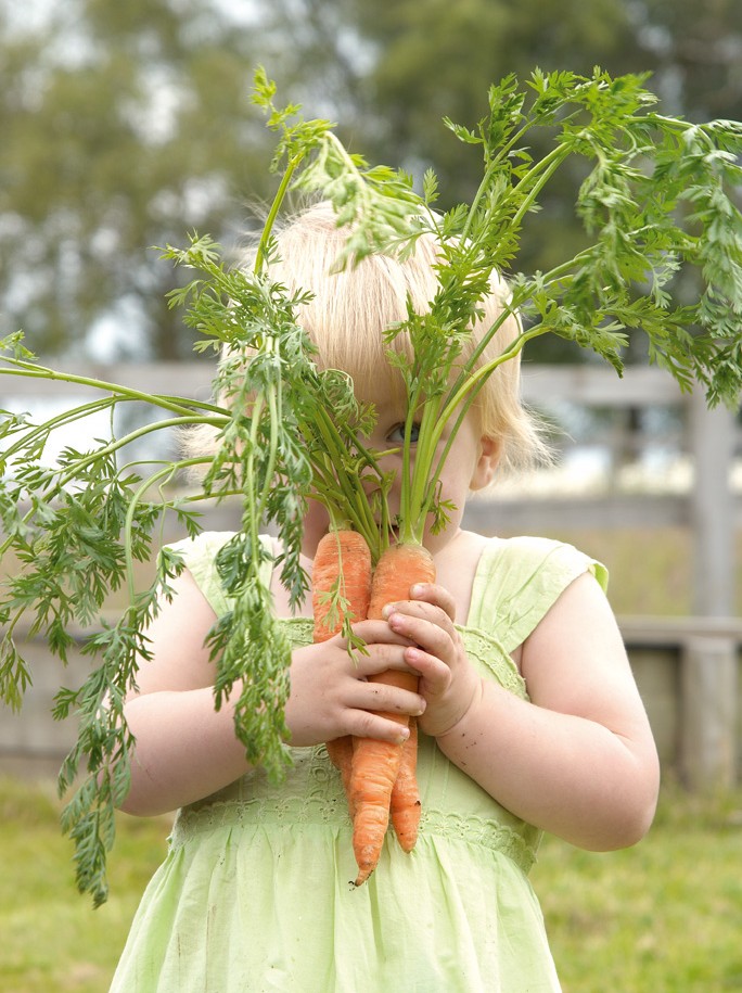 OUR NO JUNK JOURNEY WITH ORGANIX