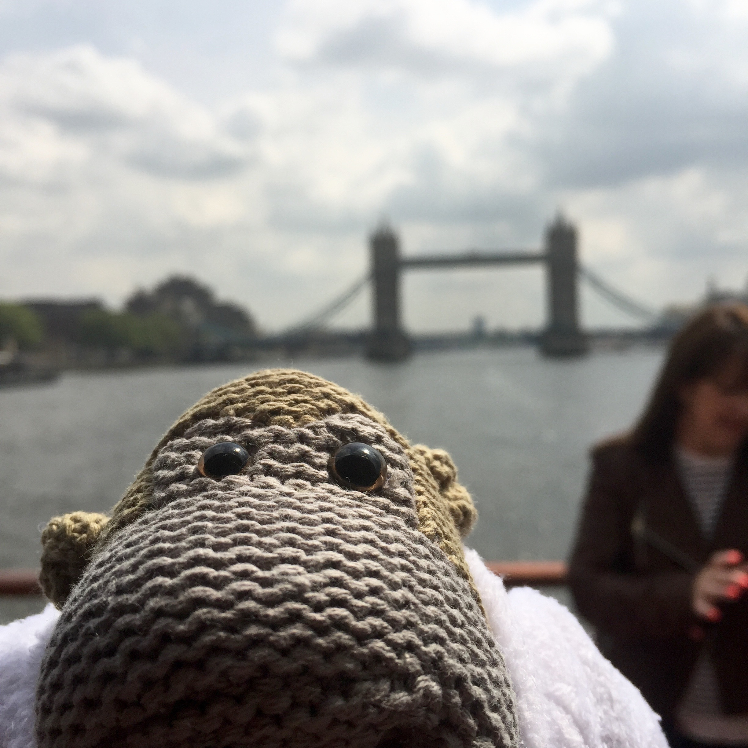 PG tips Green Tea Monkey tower bridge