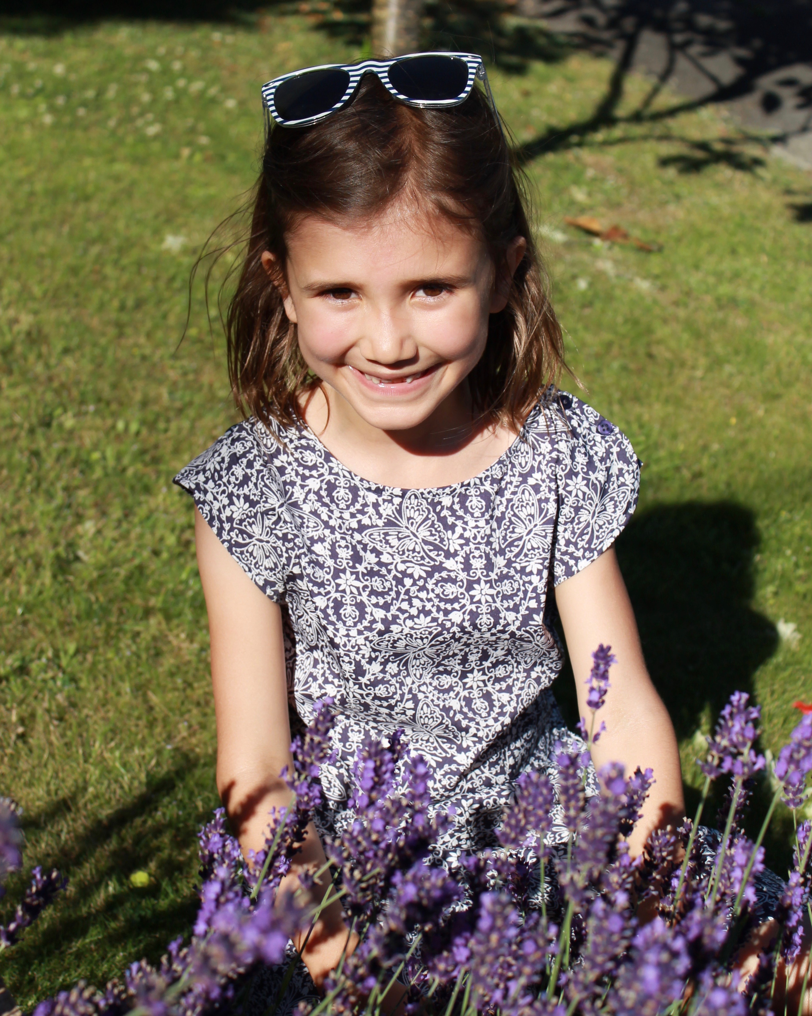 picking lavender for pressing