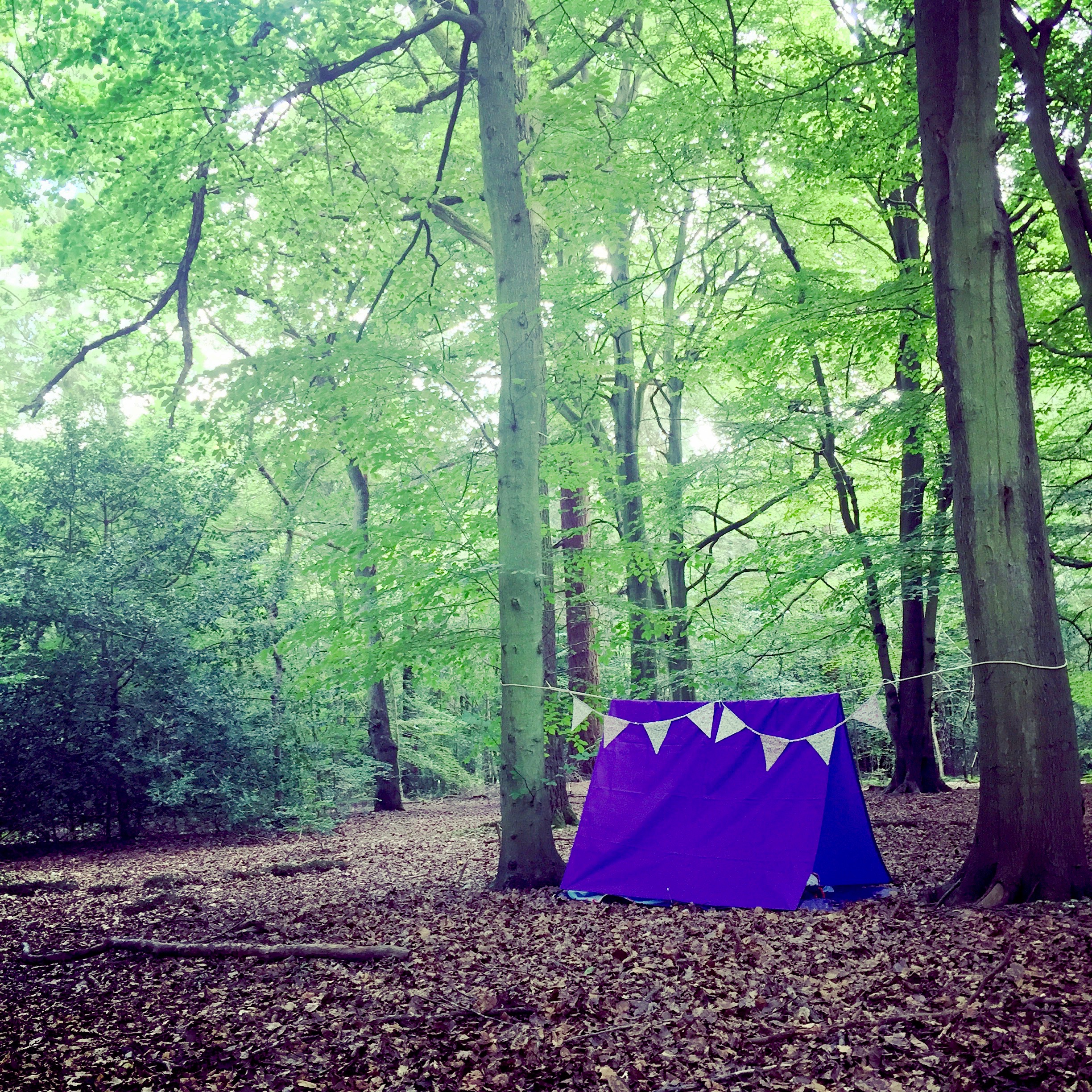flibberty Truly Beautiful den making kit