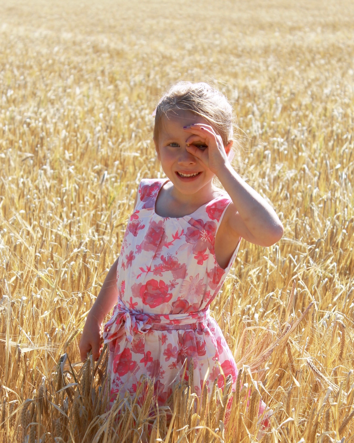 hatley wheat field eye