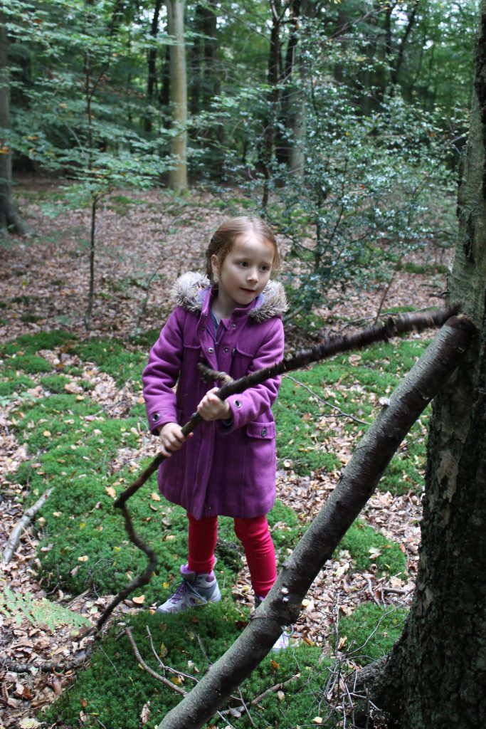 lil sis stick hut