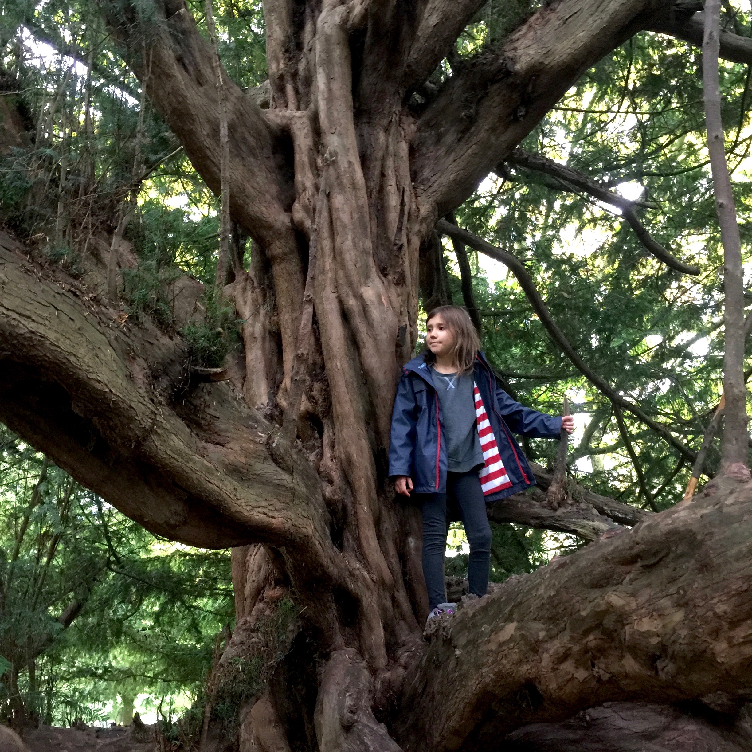 SCRAPED KNEES & CLIMBING TREES // letting kids be kids