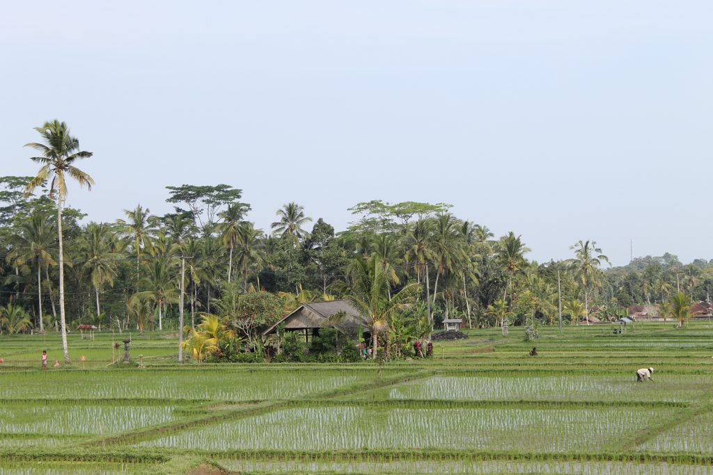 Bali family holiday