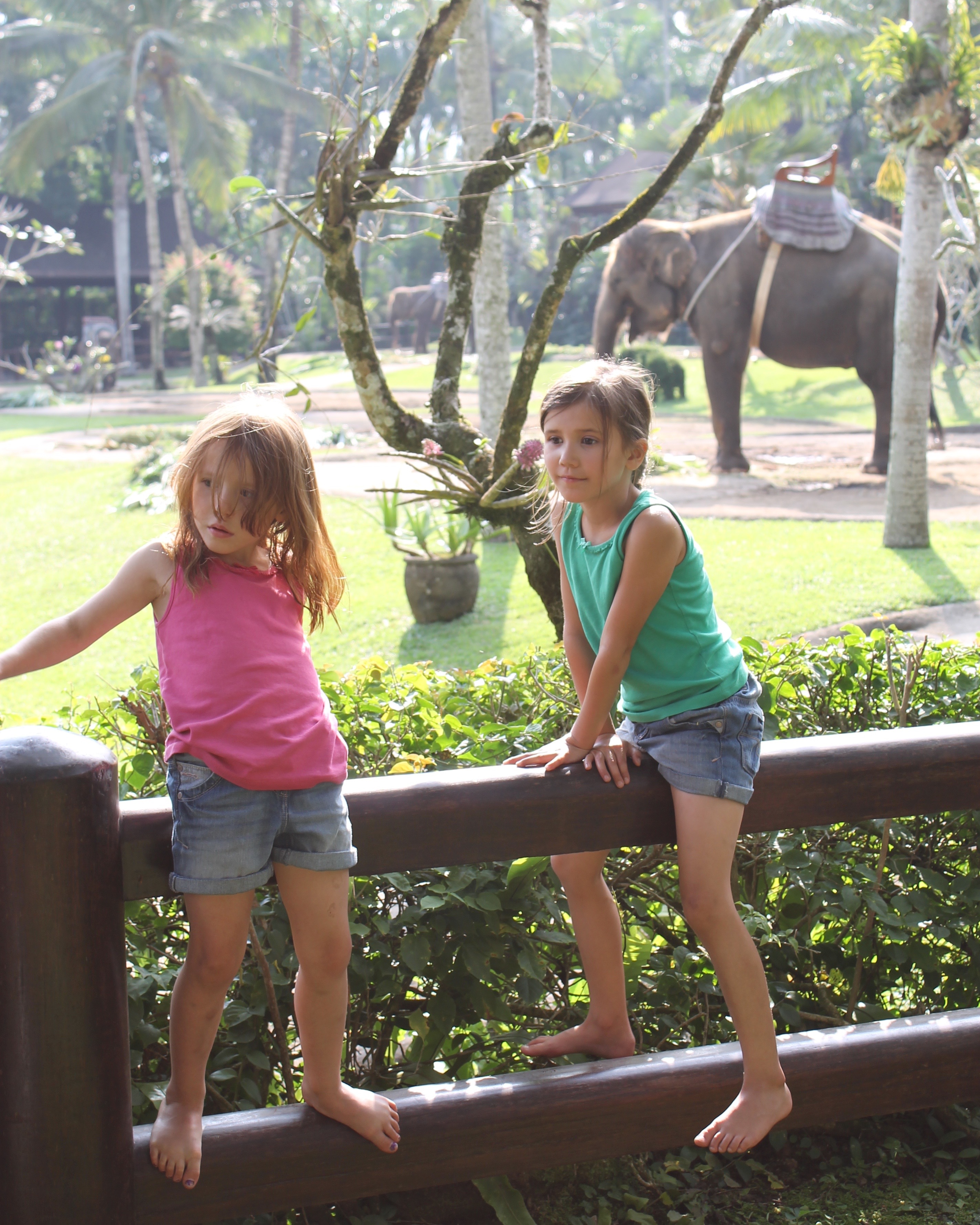 Bali family holiday elephant safari girls with elephant