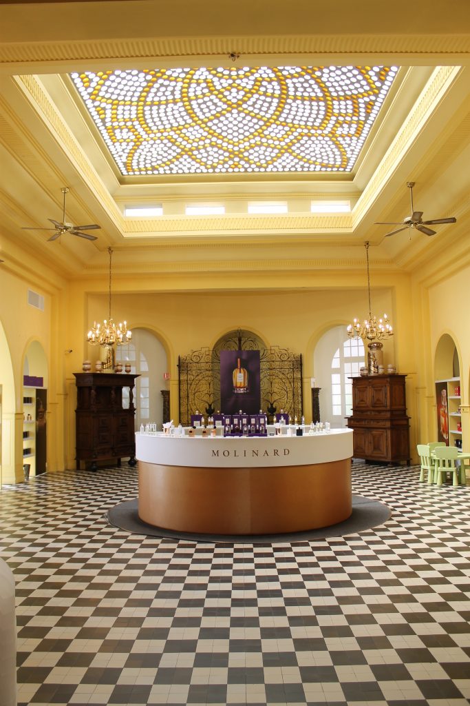 What to do in Grasse molinard salon