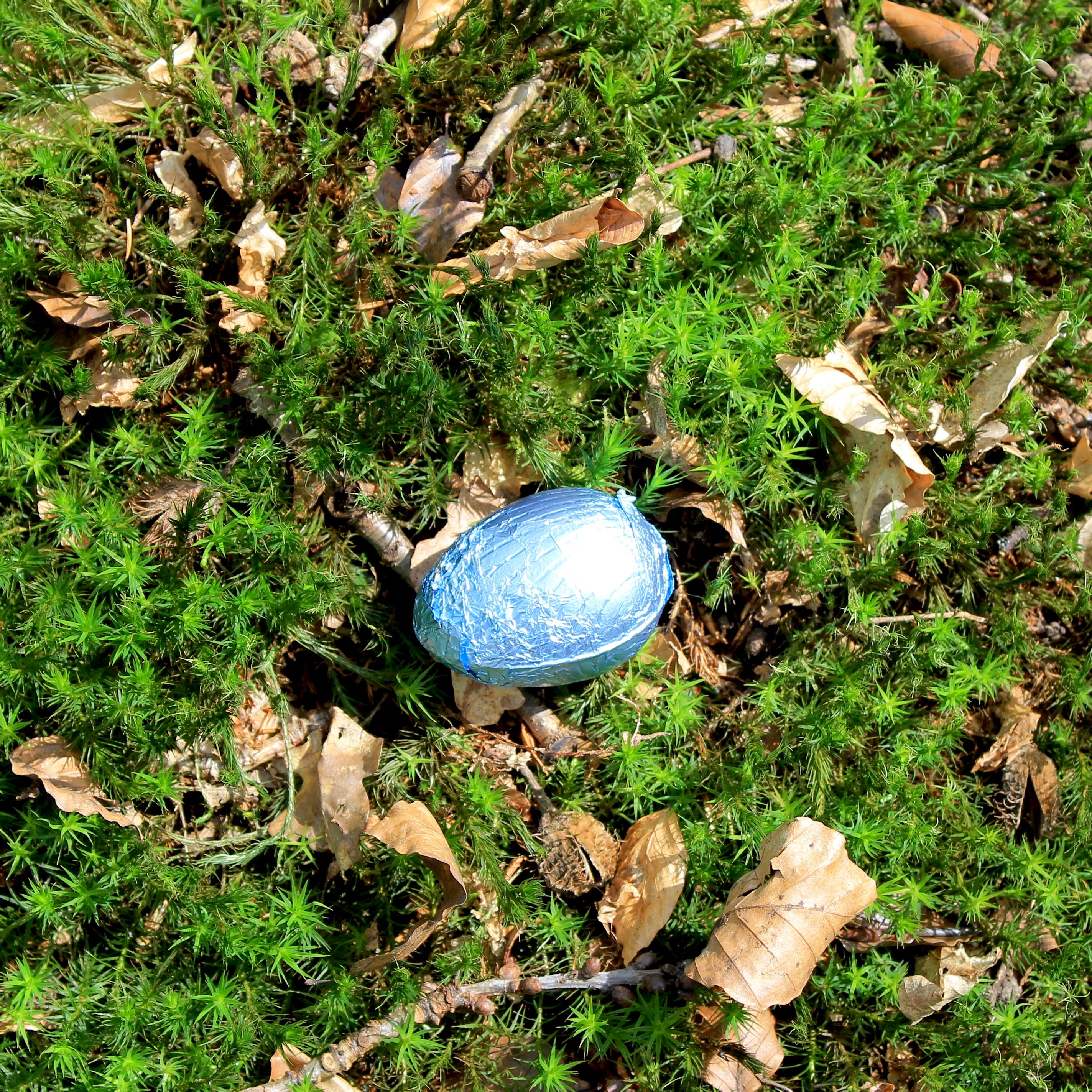 Easter egg hunt 7
