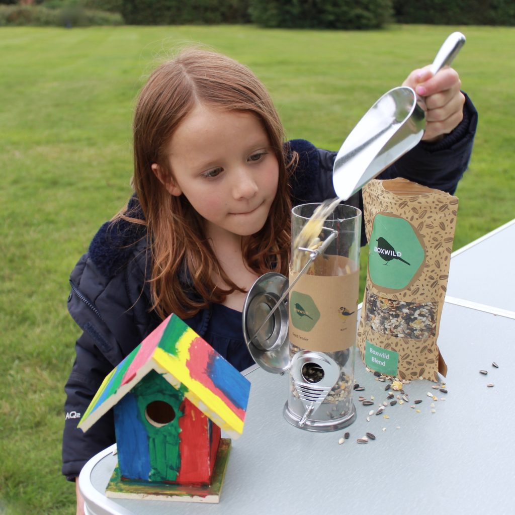 Box Wild bird nature activities filling bird feeder