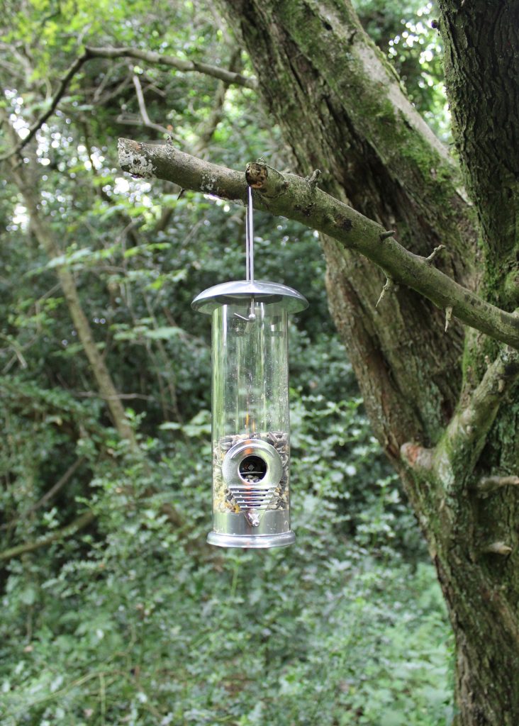 Box Wild bird watching kids subscription box feeder