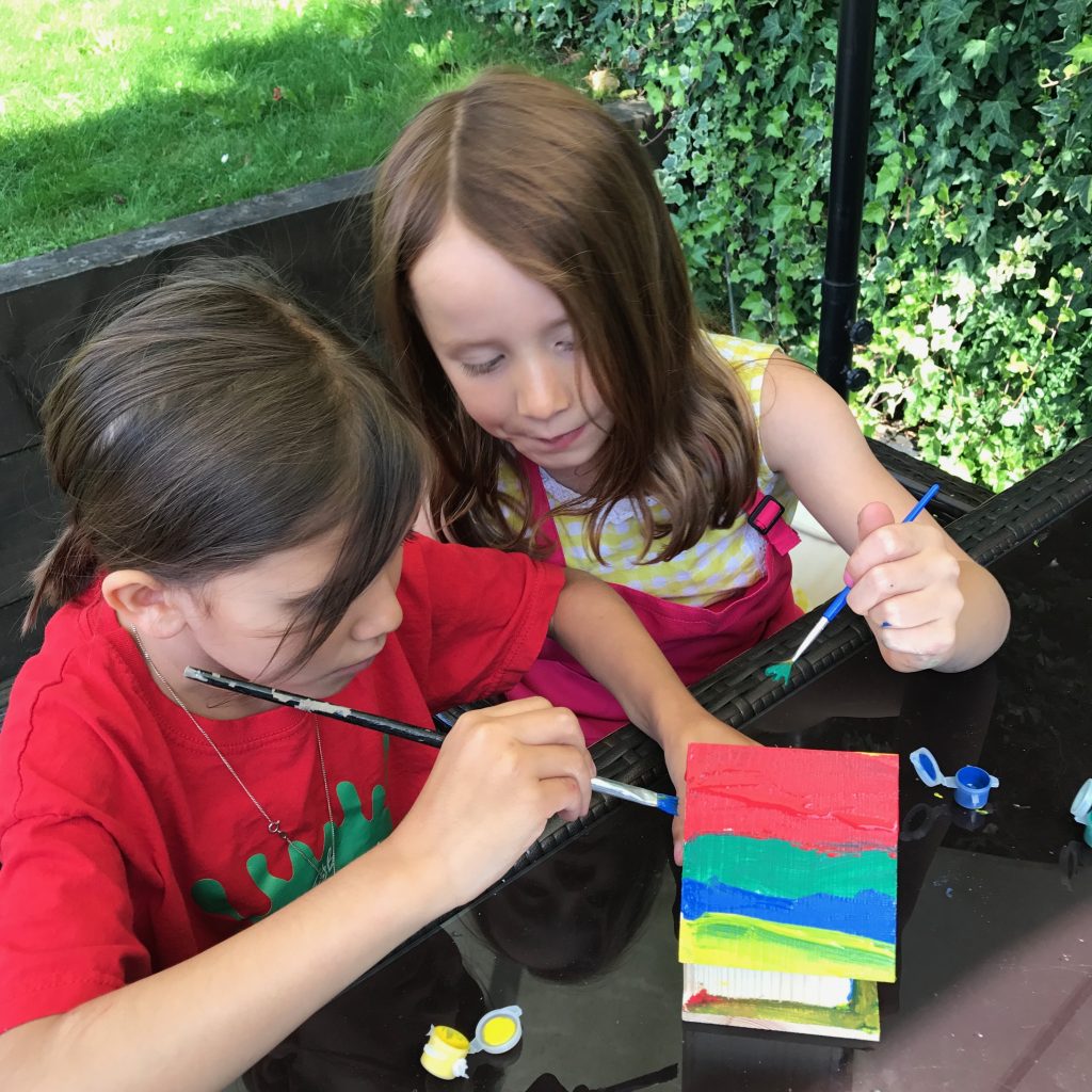Box Wild bird watching paint your own bird house
