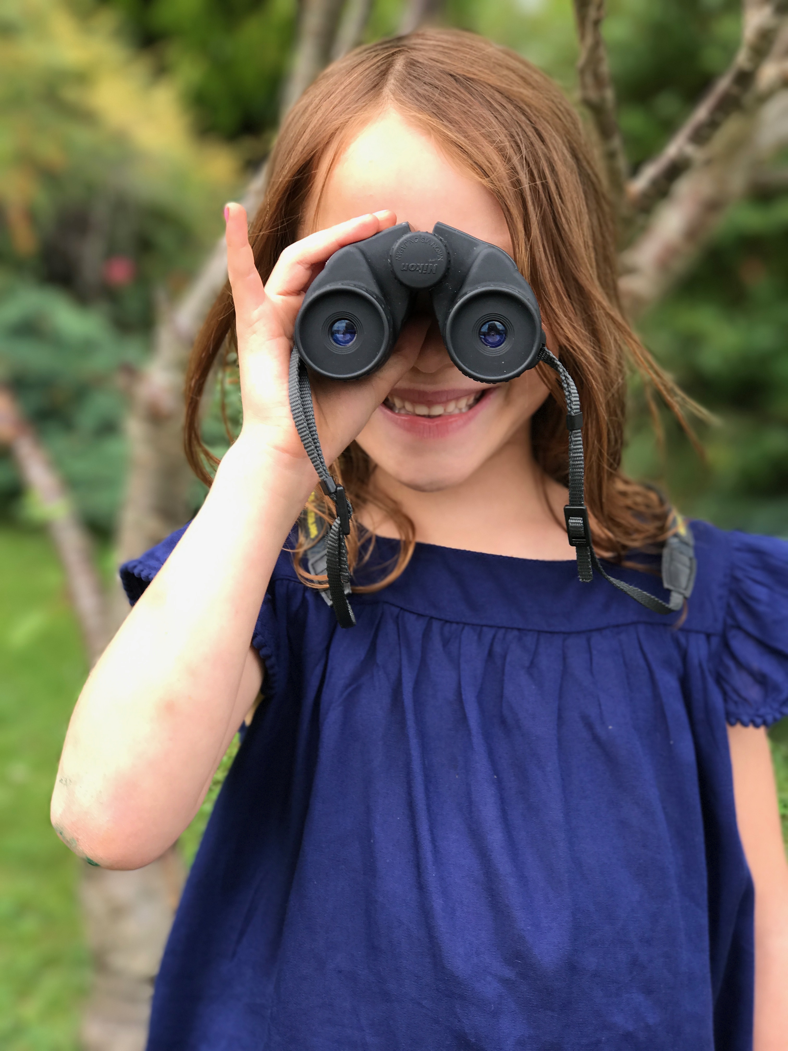 BRINGING NATURE IN WITH A DIY BIRD BOX KIT // fun activities for kids