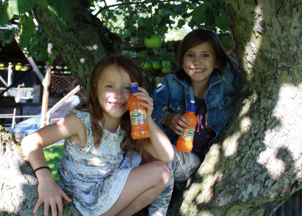 Fruit Shoot girls in tree